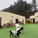 꽃남꽃녀