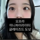 영 도너츠 | [올리브영/하이라이터] 오프라 미니 하이라이터 글레이즈드 도넛 솔직 후기 🍩✨