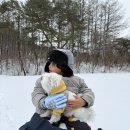 윤우가 소개하는 우리집 블리🐶 이미지