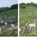 주민농장 이미지