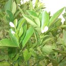 진공농장 이미지