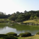 신평동366 네이버블로그