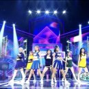 (주)퍼플나인 이미지