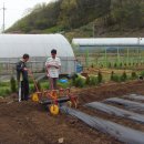 재은농장 이미지