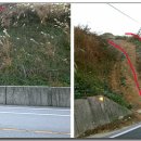 칠보여관 이미지