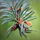 차성남로65번길 이미지