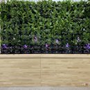 청양읍사무소 이미지