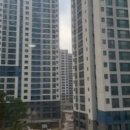 베르40