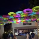 반도아담어린이집 | 사이판) 괌PIC와 비교, 마젤란, 씨사이드그릴, 비치BBQ, 키즈캠프