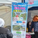 신흥동백나무군락 | 서천 가볼만한곳 마량리 동백나무숲, 주꾸미축제 코스로 완벽