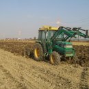 이라이스농장 이미지