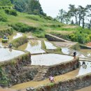 가천다랭이마을 이미지