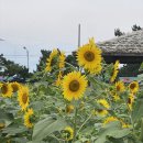 호미곶등대박물관 옆 이미지