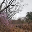 천주산 만남의 광장 이미지