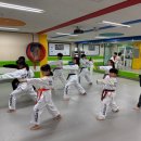 KTIGERS 태동태권도장 이미지