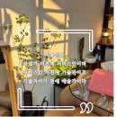 헤어살롱1021 | [공지] 김천 헤어살롱 1021 대표의 철학