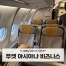 비즈니스로 | 푸켓 아시아나 비즈니스 제2여객터미널 A330 라운지 및 비행 내돈내산 왕복후기