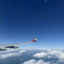 동백사우나 | [제주_모녀여행💗] 광어다 / 동백포레스트 / 너야말로진정회