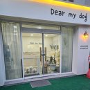 디어마이독 이미지