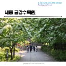 세종 금강수목원 5월 가볼만한 곳 홍아카시아, 이팝나무, 작약, 황톳길 산책로