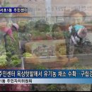 서초1동 HCN 서초방송