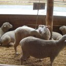 기상목장 이미지