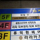 범계 따뜻한 분위기 찐 커피맛집 카페 브루더