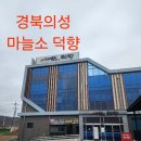 의성마늘소덕향