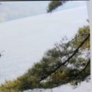 안과밖 - 군산시 상지곡안4길 20 | 안과밖