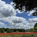 선회농장 이미지