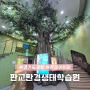 동검도생태체험마을 | 서울근교 경기도체험 판교생태학습원 경기도 아기랑 갈만한곳