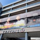 크레이지슈가 이미지