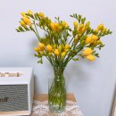 제이제이농장 이미지