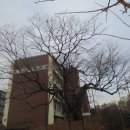 부천여자중학교 이미지