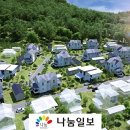 전국예능인노동조합 이미지