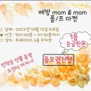 댕냥키친 네이버블로그