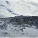 올래민박 이미지