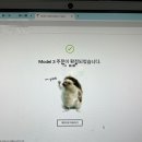 지금이 제철! 테슬라 모델3 퍼포먼스 계약 후기