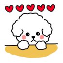 강쥐애견샵 이미지