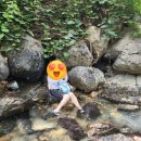 해바라기펜션 | 밀양 가족여행]해바라기펜션 이용후기_라일락