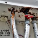 알파천사