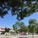 도레미캠핑장 이미지