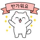 딜라잇모모