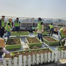 해뜰농장 이미지