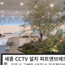 리프패럿광진구