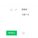 일라레콜로로 이미지