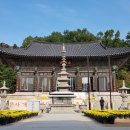 봉은사목삼불상(석가불,아미타불,약사불) 이미지