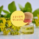 향기치유교육원 이미지