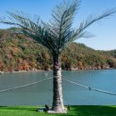 하이락리조트 2 이미지