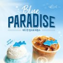 몰디브 카페 네이버블로그